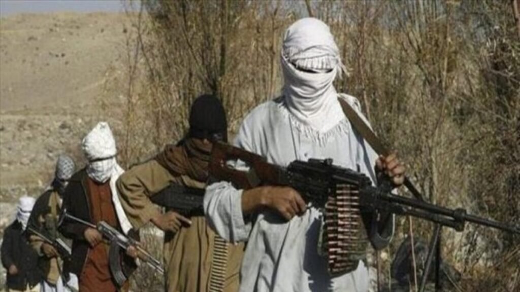 TTP vs Afghan Taliban: Key Differences Explained TTP-Taliban